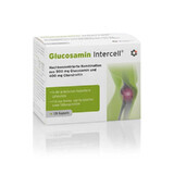 Glucosamin-Intercell 120 Kapseln Intercell