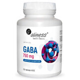 GABA (gamma amino butyric acid) 750 mg x 100 capsules Aliness