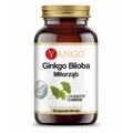 Ginkgo biloba Extrakt 24% (100mg 90 Kapseln) Yango