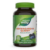 Ashwagagandha Gummy, 125 mg, 90 pieces, Berry, Nature's Way