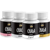 Royal Chaga Sibirischer Chaga Pulverextrakt 1×90g, Nahrungsergänzungsmittel