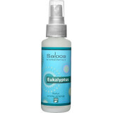 SALOOS Air Spray Eucalyptus 1×50 ml flavor Eucalyptus