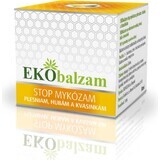 EKObalm PLESNE 1×50 ml, Balsam (gegen Mykose, Schimmel, Pilze und Hefen)