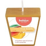 Bolsius Aromatic 2.0 Votive Mango, Duftkerze 1×1 Stück, Größe 48 mm