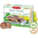 TEA THEREZIA SHII-TAKE + RHODIOLA ROSEA 1×60 cps, Nahrungsergänzungsmittel