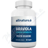 Allnature Graviola 60cps 1×60cps