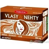 TEREZIA HAIR & NECHTY 1×60 cps, Nahrungsergänzungsmittel