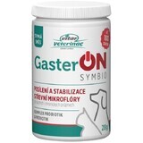 Vitar Veterinae GasterON SYMBIO tarro 28 g