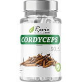 Maxxwin Cordyceps 90 capsule