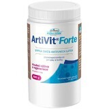 Vitar Veterinae Artivit Forte mélange de poudres 600 g