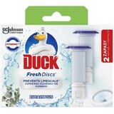 Duck Fresh Discs Dischetti di ricarica per WC all'eucalipto 2 x 36 ml