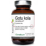 Gotu kola Centellicum (60 capsules) Kenay