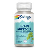 Brain Support, 60 Kapseln, Secom