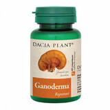 Ganoderma, 60 cpr, Dacia Pflanze