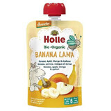 Piure de banane, mere, mango si caise, +6 luni, 100 g, Holle Baby Food