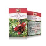 Macese Früchtetee, 50 g, Stef Mar Valcea