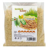 Semințe de susan, 250g, GreenSense