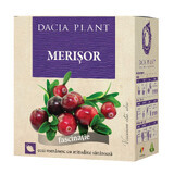Preiselbeer-Tee, 30g, Dacia Plant