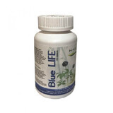 Blue life, 100 de capsule, BBM Medical