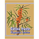 Catina fructe, 100 g, Cyani