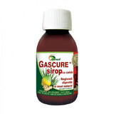 Gascure Sirup, 100 ml, Ayurmed