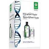 Cytoplant Forte, 270 Kapseln + Detoxifier Forte, 500 ml, Divine Star