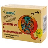 Coenzym Q10 in Schachtelhalmöl 15 mg, 40 Kapseln, Hofigal