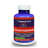 Cholesteronat, 120 Kapseln, Herbagetica