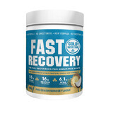 Pina Colada Fast Recovery Eiweißshake, 600 gr, Gold Nutrition