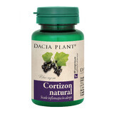 Cortizon Natural, 60 Tabletten, Dacia Plant