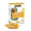 Apielixir immunità e benessere, 10 fiale x 10 ml, Albina Carpatina