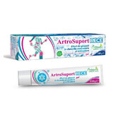 Naturalis ArthroSupport RECE Gel x 100 g