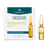 Anti-Aging-Fläschchen mit regenerativer Wirkung Endocare, 7 Fläschchen x 1 ml, Cantabria Labs