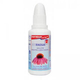 FaviRinosan mit Echinacea Meersalz, Ton, 30 ml, Favisan