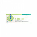 Synart, 60mg/4ml Hyaluronsäure Injektionslösung zur Infiltration, 1 Fertigspritze, Pharma Labs