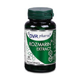 Rosmarin-Extrakt, 60 cps, Dvr Pharm