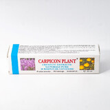 Cremă cu extracte naturale pure și rășină de conifere Carpicon Plant, 50 ml, Elzin Plant