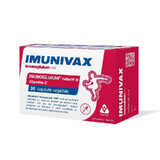 Imunivax Imunoglukan x 30 Kapseln.