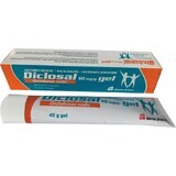 Diclosal gel, 10 mg/g, 45 g, Slavia Pharm