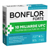Bonflor Forte, 10 Kapseln, Fiterman Pharma