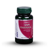 DVR Cholesterin, 60 cps, Dvr Pharm