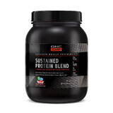 Gnc Amp Sustained Protein Blend Amestec Proteic Cu Aroma De Cereale Fructate, 910 G