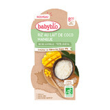 Dessert de riz bio à la crème de coco et mangue, 2 x 100 g, BabyBio