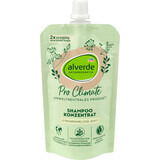 Alverde Naturkosmetik Pro Climate șampon concentrat, 100 ml