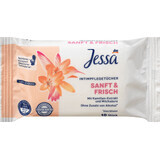 Jessa Mini Intimpflegetücher, 10 Stück