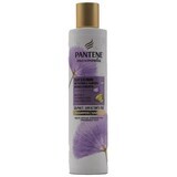 Pantene PRO-V Şampon Strength & Anti-Brassiness Purple, 225 ml