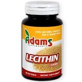 Lecithin 1200 mg, 30 Kapseln, Adams Vision