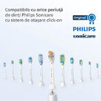 Nachfüllpackungen für elektrische Zahnbürste W2 Optimal White, 2 Stück, HX6062/10, Philips Sonicare