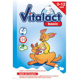 Vitalact Basic Milchnahrung, 0-12 Monate, 400 g, Bloef