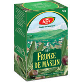 Maslin Blatt-Tee, F189, 50 g, Fares